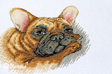 Load image into Gallery viewer, French Bulldog
