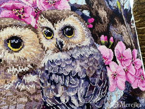 Two Owls in Spring Blossom