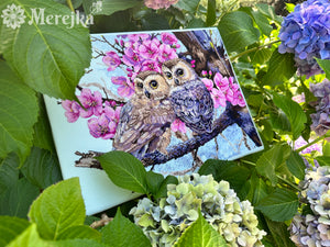 Two Owls in Spring Blossom