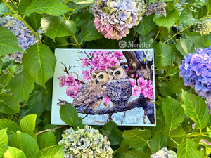 Two Owls in Spring Blossom