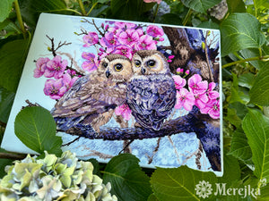 Two Owls in Spring Blossom