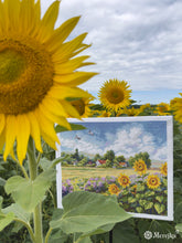 Load image into Gallery viewer, The Way Home
