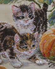 Load image into Gallery viewer, Pumpkin Patch Chase
