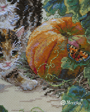 Load image into Gallery viewer, Pumpkin Patch Chase
