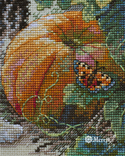 Load image into Gallery viewer, Pumpkin Patch Chase
