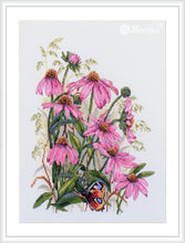 Load image into Gallery viewer, Coneflowers
