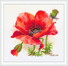 Load image into Gallery viewer, Red Poppy
