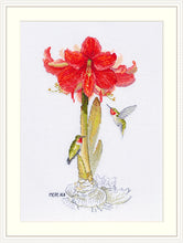 Load image into Gallery viewer, Amaryllis
