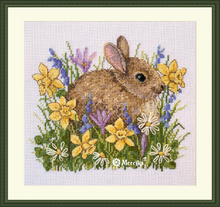 Load image into Gallery viewer, Little Rabbit
