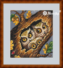 Load image into Gallery viewer, Owls
